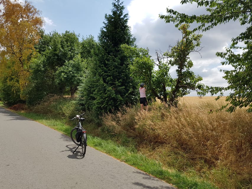 Dresden: E-Bike Tour and Dresden Heath Forest Trails - Who will enjoy this Dresden bike tour most