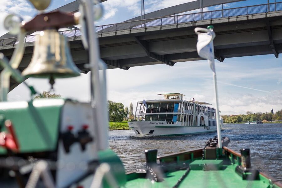 Dresden: River Sightseeing Boat Cruise - The Loschwitz Villa Quarter and Blue Wonder