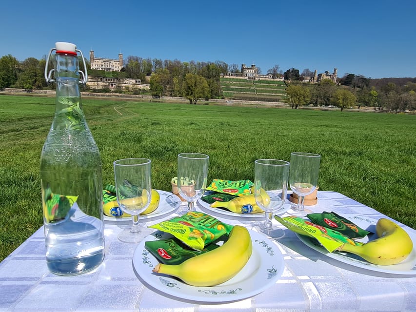 Dresden Sightseeing per Rad mit Guide, Prosecco, Eierschecke - Along the Elbe riverbanks