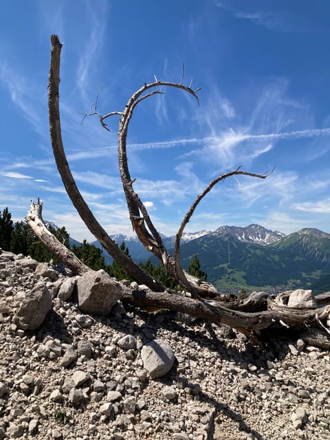 Ehrwald: Hiking Tour into breath taking Nature - Traditional Log Cabins Along the Way