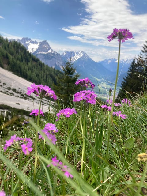 Ehrwald: Hiking Tour into breath taking Nature - Price and Value at $81