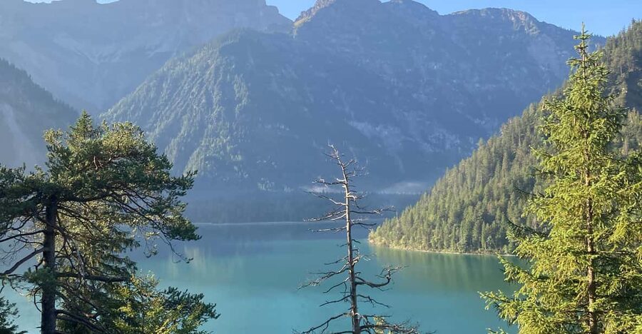 Ehrwald: Hiking Tour into breath taking Nature - Following Lakes, Rivers, Flowers, and Wildlife