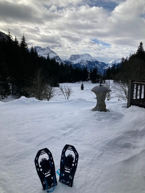 Ehrwald: Zugspitze Snowshoe Hiking Tour with Mountain Views - Five things to know before you book