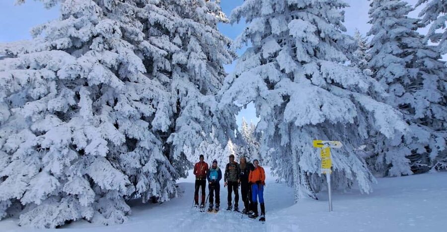 Ehrwald: Zugspitze Snowshoe Hiking Tour with Mountain Views - Who should think twice
