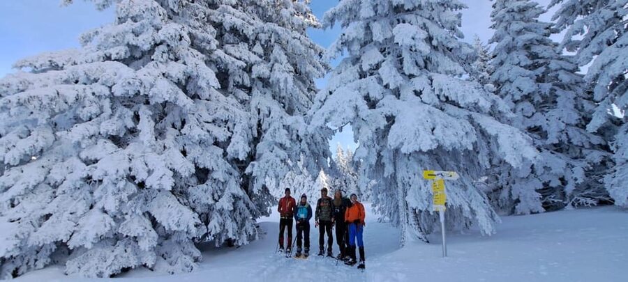 Ehrwald: Zugspitze Snowshoe Hiking Tour with Mountain Views - Getting your feet under you