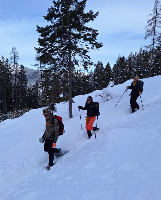 Ehrwald: Zugspitze Snowshoe Hiking Tour with Mountain Views - Free equipment and what you still need