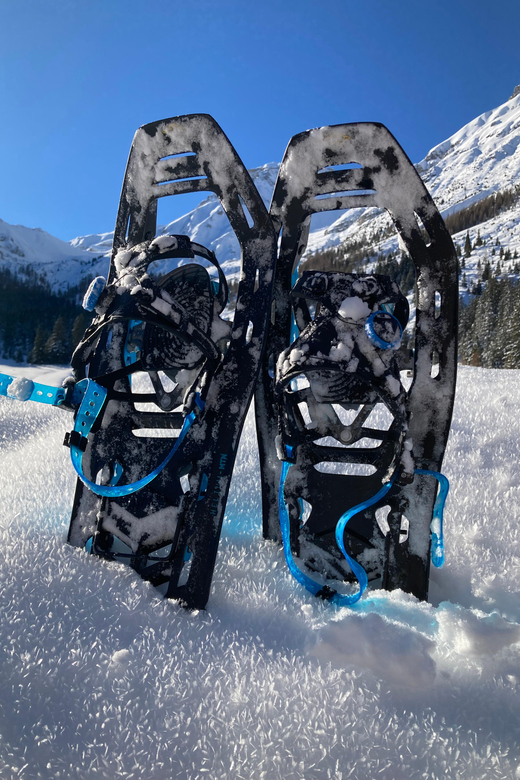 Ehrwald: Zugspitze Snowshoe Hiking Tour with Mountain Views - Is $80 good value?
