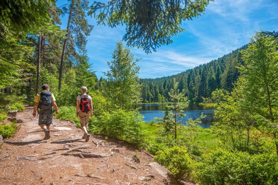 Frankfurt: Baden-Baden, Black Forest, Strasbourg Guided Tour - Booking details worth keeping in mind