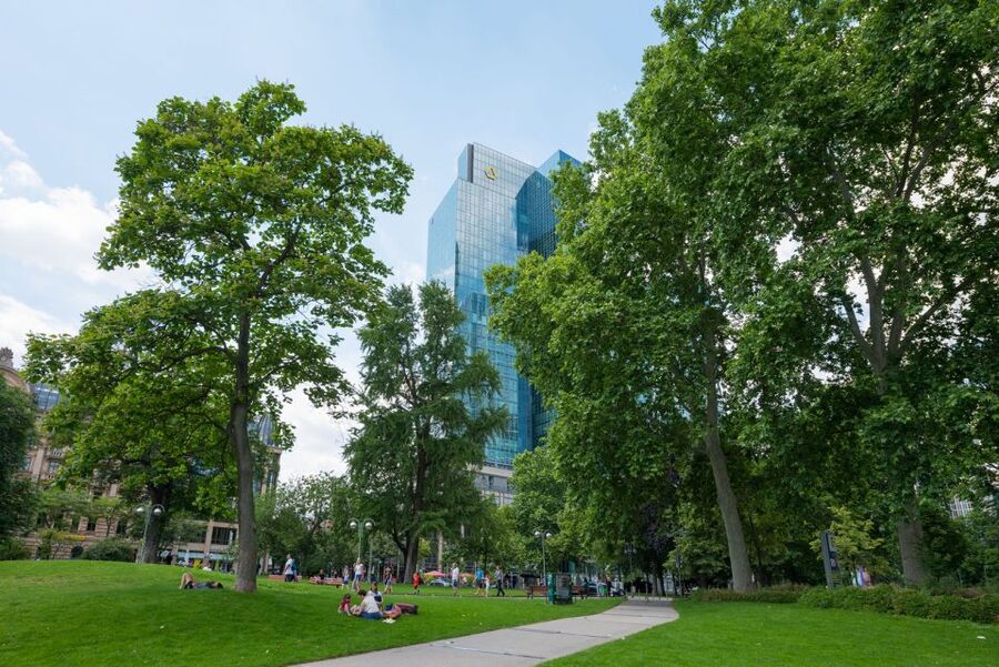 Frankfurt: Guided walk between palm trees and skyline - Who should book this Frankfurt walk?