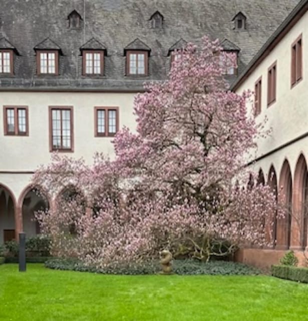 Frankfurt on Foot Daily Walking Tour in English - A rare surviving house and a bridge with skyline views