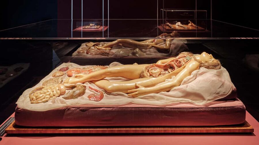 Frankfurter Kunstverein: Admission ticket - Accessibility and practical rules