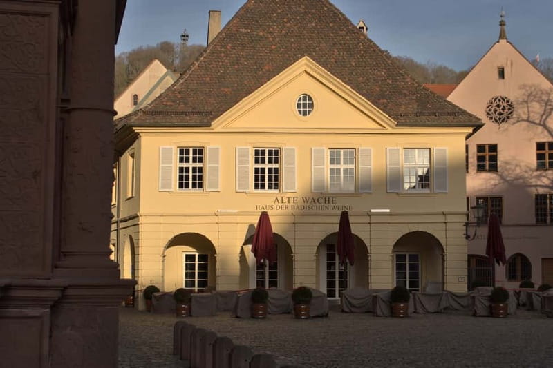 Freiburg City Tour: with visit of the Freiburg Minster - Gerberau and the Augustinerplatz finish