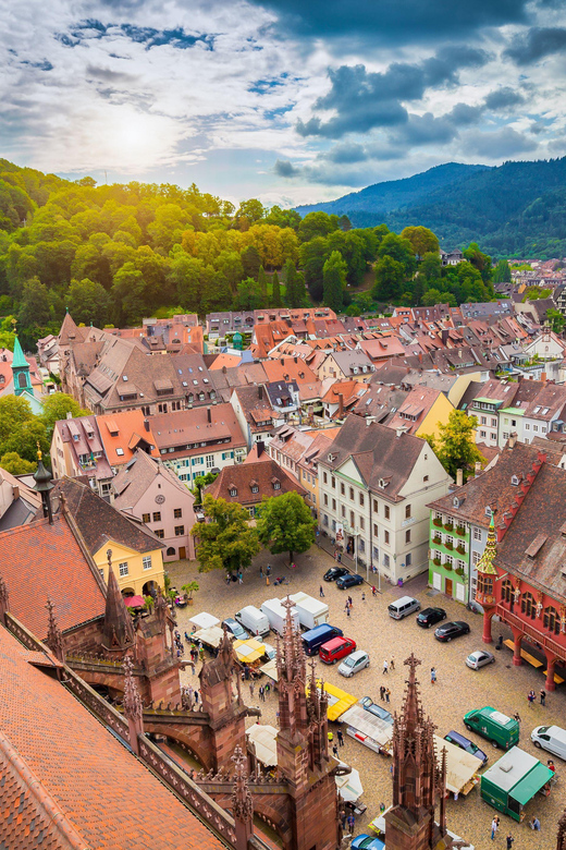 Freiburg: Exciting City Tour with sightseeing and history - The Bermuda Triangle nightlife district