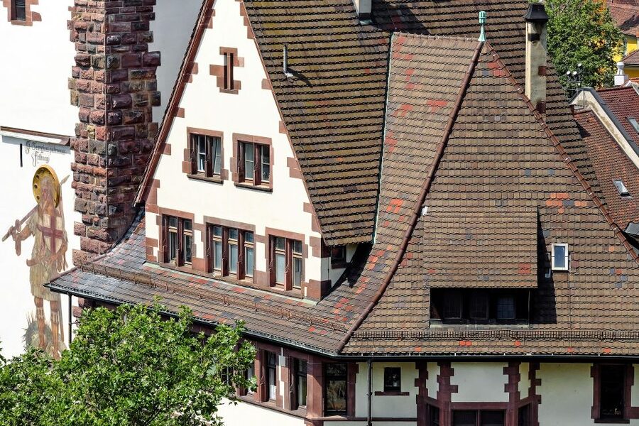 Freiburg: Express Walk with a Local in 60 minutes - Who should book this walk?