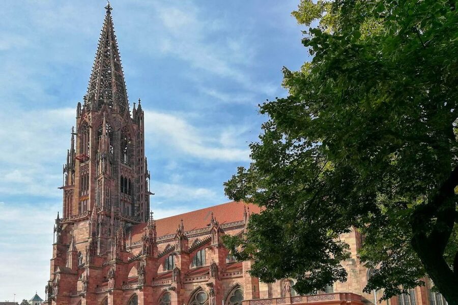Freiburg: Gässle, Bächle and More City Tour - Rathausplatz and two historic town halls