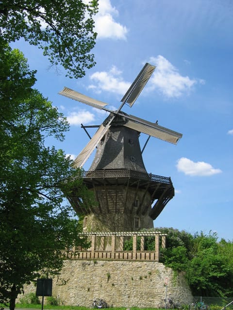 From Berlin: Gardens & Palaces of Potsdam Bike Tour - Key points to know before you book