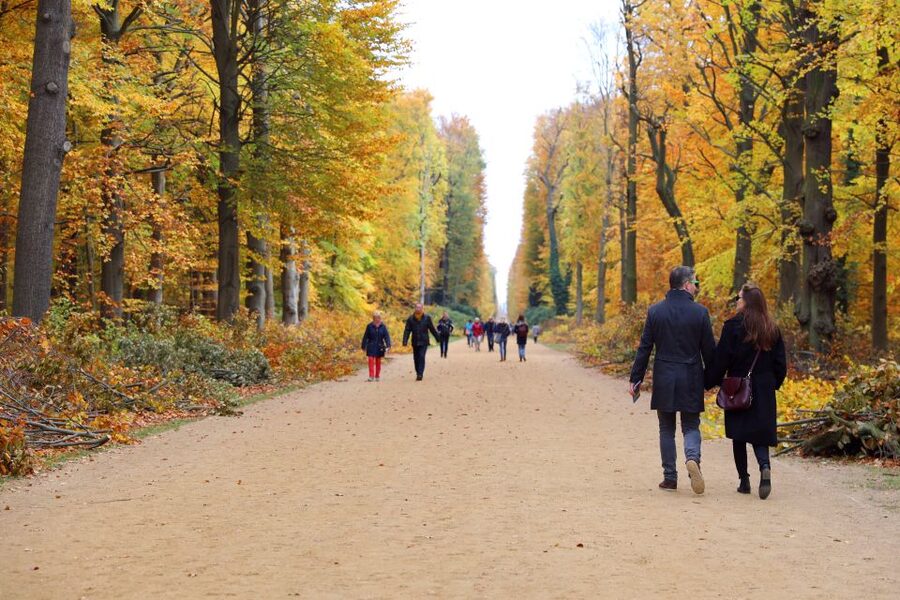 From Berlin: Historical Gems of Potsdam Private Day Trip - The guide can make or break the day