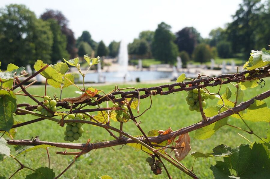 From Berlin: Potsdam Half-Day Tour in Spanish - The ABC ticket is a small but important extra cost