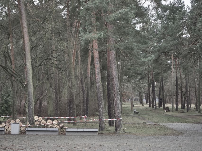 From Berlin: Sachsenhausen Concentration Camp Guided Tour - Who should book this tour