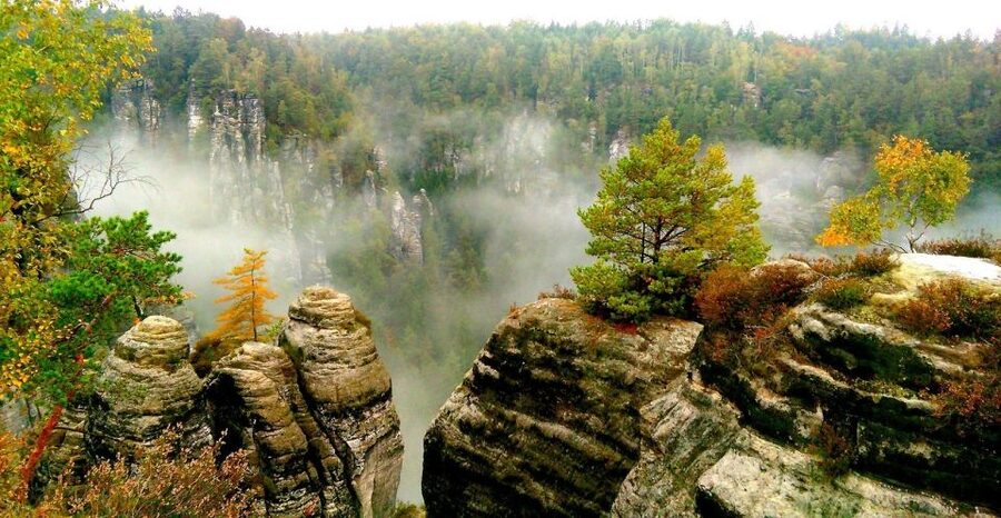 From Dresden: Bohemian & Saxon Switzerland Day Trip - Lunch in Bohemian Switzerland