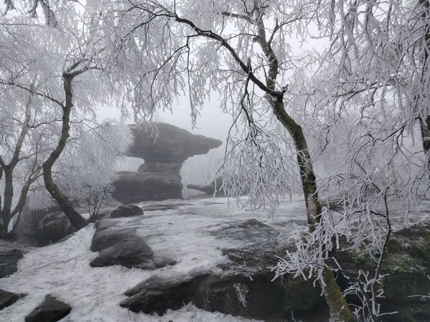 From Dresden: Bohemian & Saxon Switzerland Day Trip - Choosing the right version of the tour
