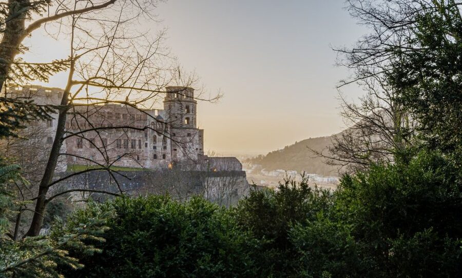 From Frankfurt: Day Tour to Heidelberg with Local Guide - The 75-minute ride from Frankfurt