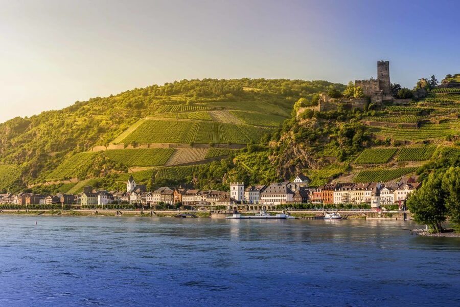 From Frankfurt: Rhine Valley Day Trip - Assmannshausen lunch beside the river