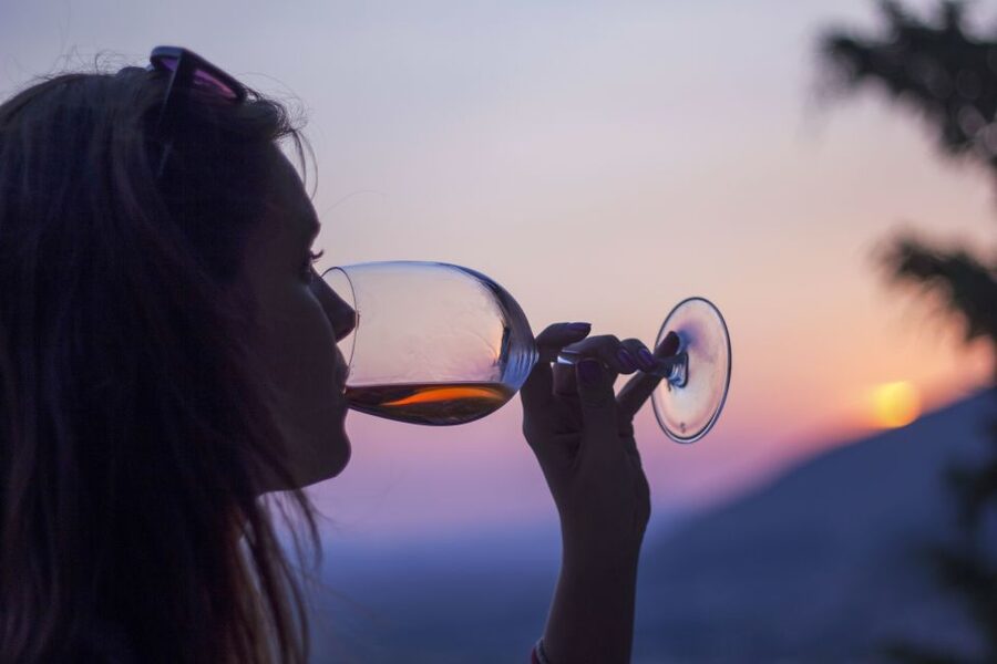 From Frankfurt: Rhine Valley Day Trip - The Roman-era wine lesson and informal tasting