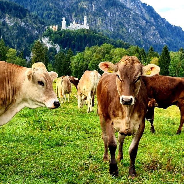 From Füssen: Neuschwanstein & Linderhof Castles Private Tour - Oberammergau and the Bavarian village pause