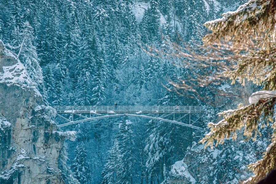 From Hohenschwangau: Tour to Neuschwanstein Castle - Inside the castle for about one hour