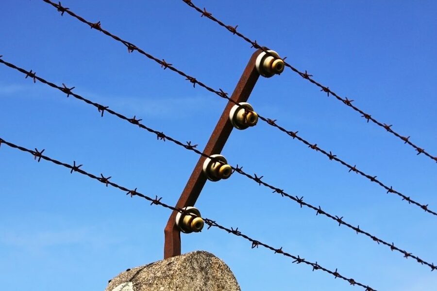 From Munich: Dachau Concentration Camp Private Tour by Car - The guide makes the private format worthwhile