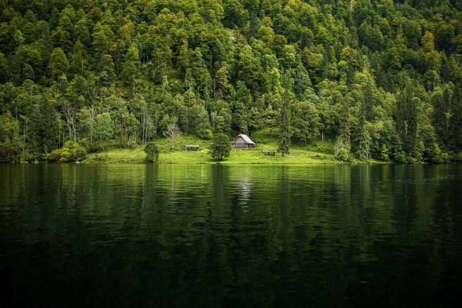 From Munich: Königsee Day Tour by Van - How good is the $147 value?