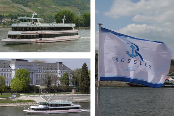 From Rüdesheim: 1.5-Hour Boat Cruise with Wine Tasting - Key points to know before you book