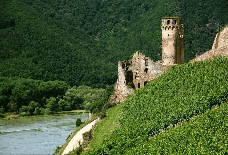 From Rüdesheim: 1.5-Hour Boat Cruise with Wine Tasting - Four wines, one pretzel, and a possible seating squeeze