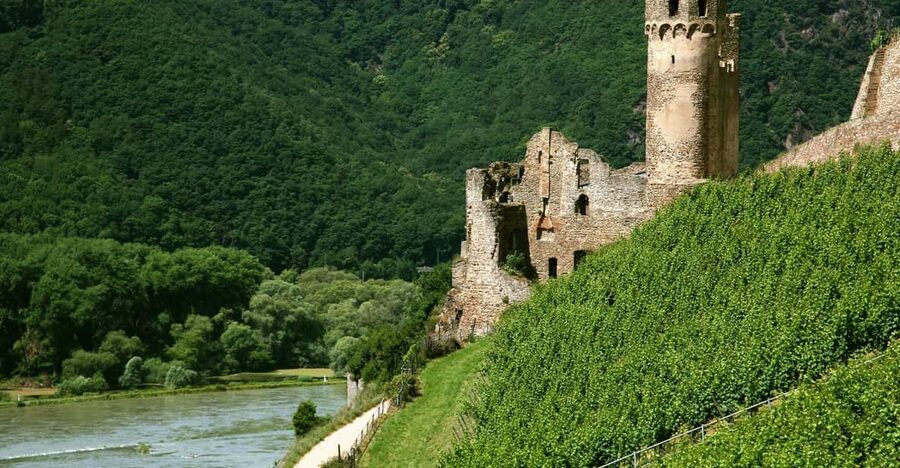 From Rüdesheim: 1.5-Hour Boat Cruise with Wine Tasting - Starting at Bridge No. 12 in Rüdesheim