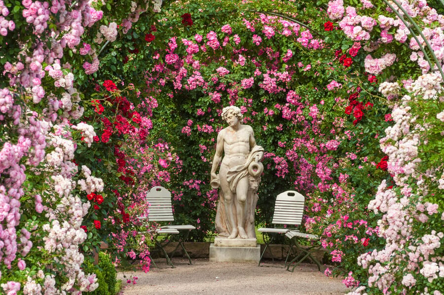 From Strasbourg: Black Forest and Baden Baden Day Trip - Who should book this Black Forest day trip?