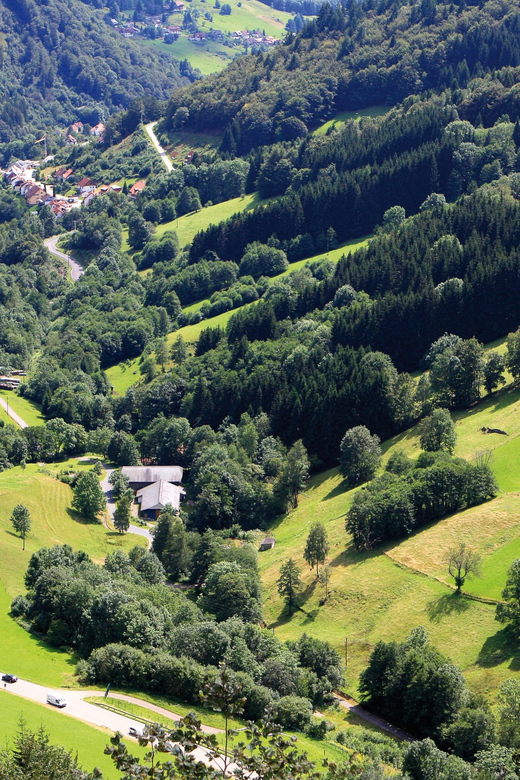From Strasbourg: Black Forest and Baden Baden Day Trip - Riding the Schwarzwaldhochstrasse to the mountain viewpoints