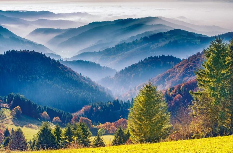 From Strasbourg: Black Forest and Baden Baden Day Trip - Mummelsee: lunch, a short walk, and Black Forest scenery