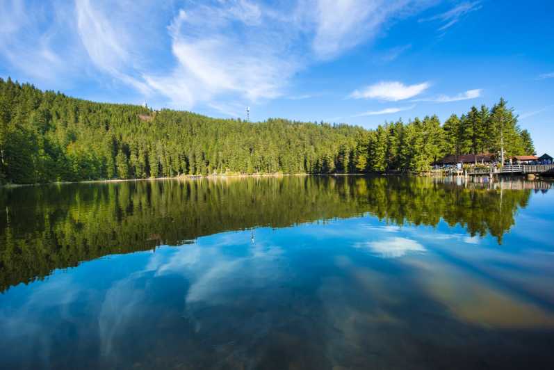 From Strasbourg: Black Forest and Baden Baden Day Trip - The Badischerweinstrasse and Sasbachwalden