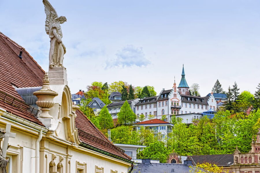 From Strasbourg: Black Forest and Baden Baden Day Trip - What the guide adds to the day