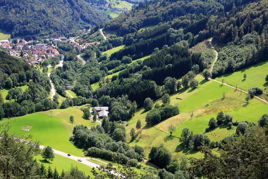 From Strasbourg: Black Forest and Baden Baden Day Trip - Is $253 a fair price?