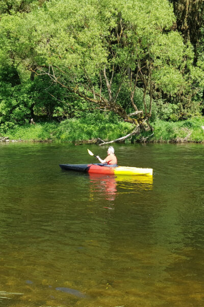 From Viechtach: Regen River Canoe Tour to Höllensteinsee