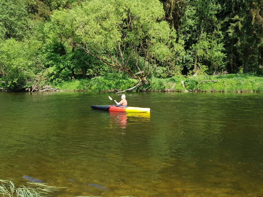 From Viechtach: Regen River Canoe Tour to Höllensteinsee - Should you book the Viechtach canoe tour?