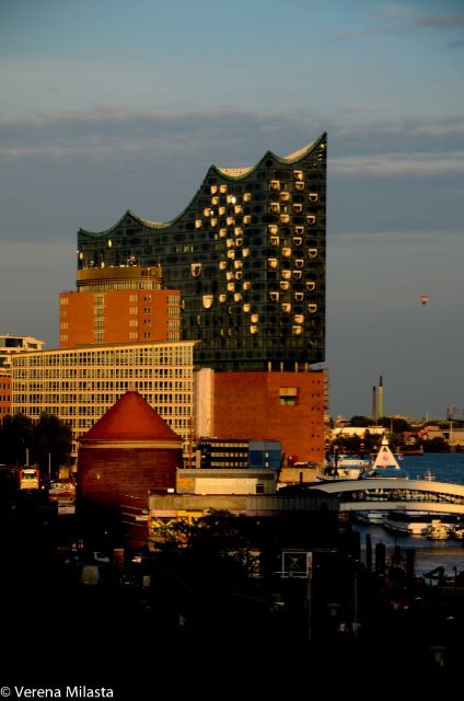 German Hamburg Historic City Center Pay-What-You-Want Tour - Language, group size, and the right type of visitor