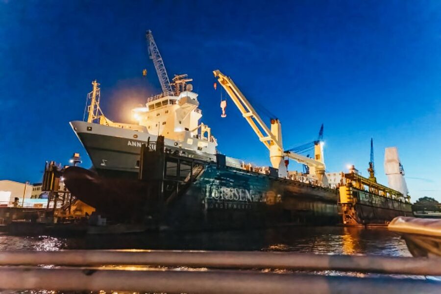 Hamburg: 1.5h Grand Harbor Evening Lights Cruise - Past the Elbe beach and fish market