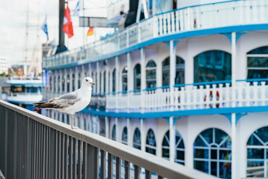Hamburg: 1-Hour Harbor Sightseeing Cruise with HafenCity - The Elbe and Hamburg’s Working Harbor