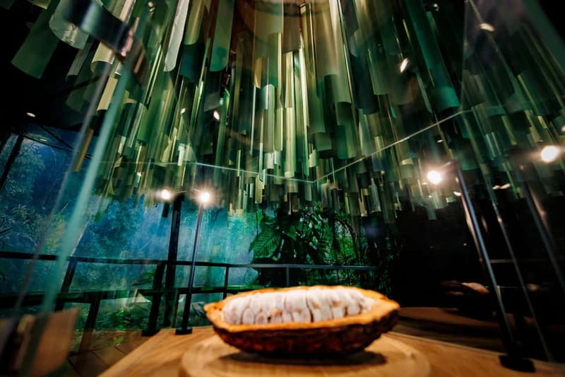 Hamburg: Chocoversum Guided Tour with Tastings - How long the 90-minute format feels