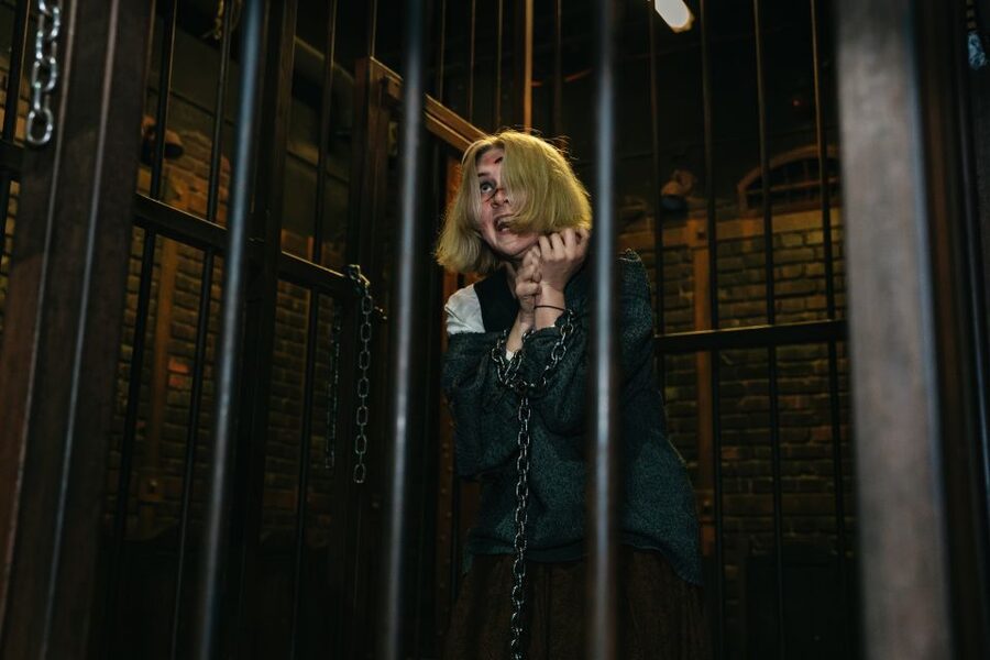 Hamburg: Hamburg Dungeon Admission Ticket - Is $33 a fair price?