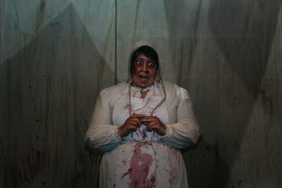 Hamburg: Hamburg Dungeon Admission Ticket - How scary, funny, and educational is it?