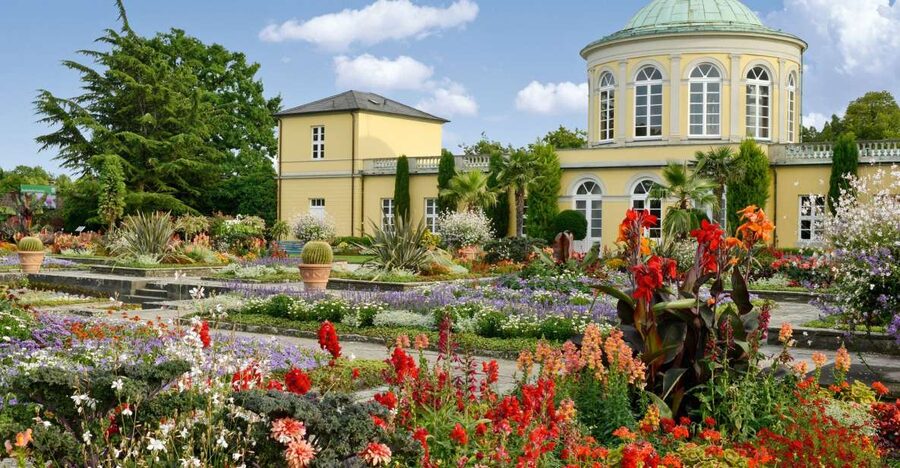 Hannover: Guided tour of the Berggarten - What the 1.5-hour Berggarten tour gives you
